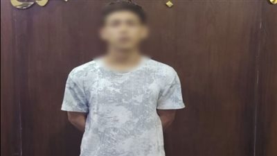 الإنتربول يسلِّم مصر متهما أجنبيا هاربا لتنفيذ حكم قضائي لصالح سيدة
