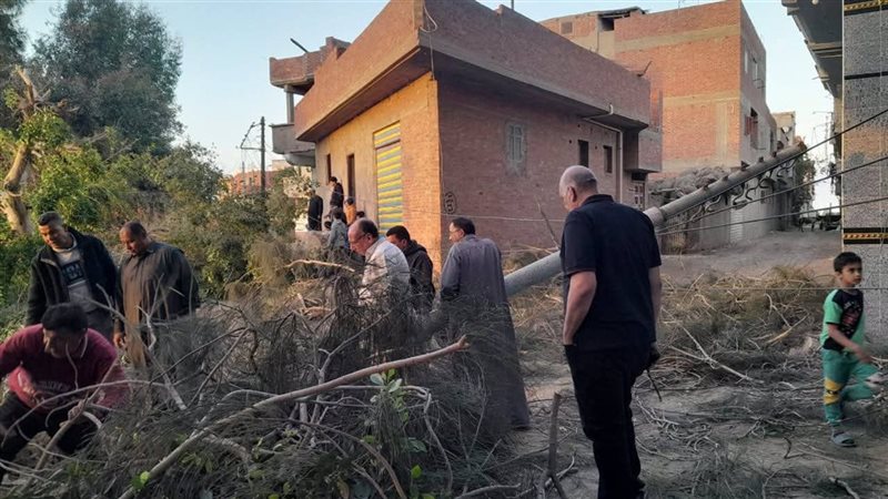 سقوط شجرة وعمود إنارة،