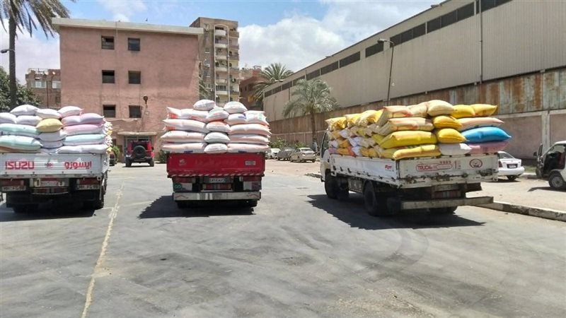 توريد القمح بالقليوبية،