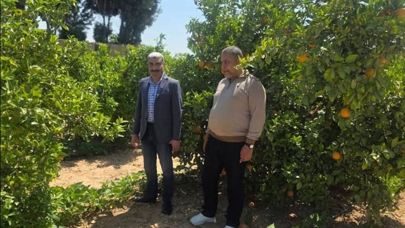  إزالة 27 حالة تعدٍ