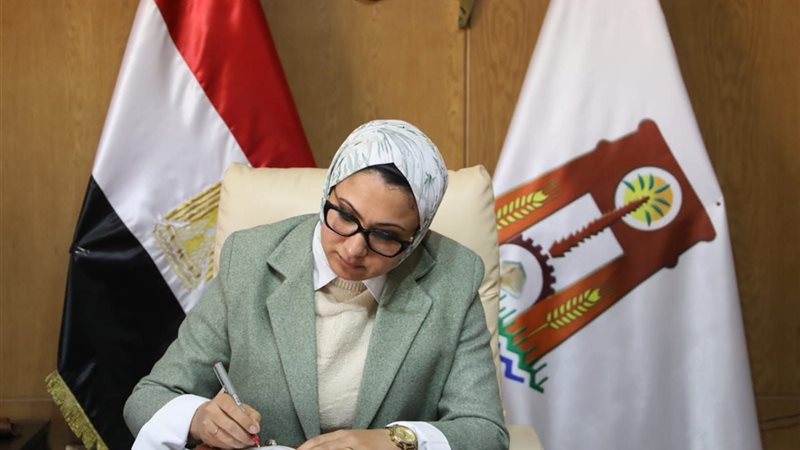 محافظ الوادي الجديد،