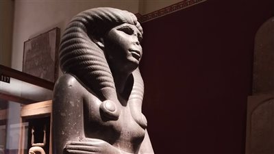 يكشف ملامح الوقار الملكي والجمال، متحف التحرير يعرض تمثالا نادرا للملكة نفرت 