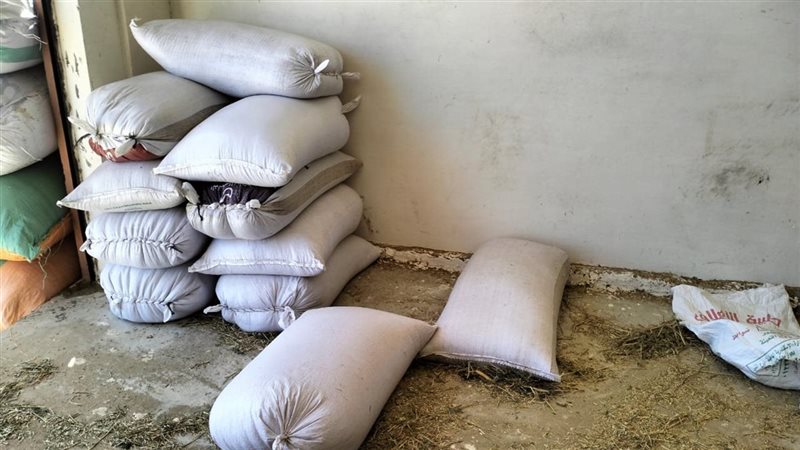 حملة تموينية بالإسكندرية