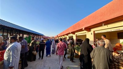 سوق اليوم الواحد بالوادي الجديد يوفر السلع بأسعار مخفضة للمواطنين
