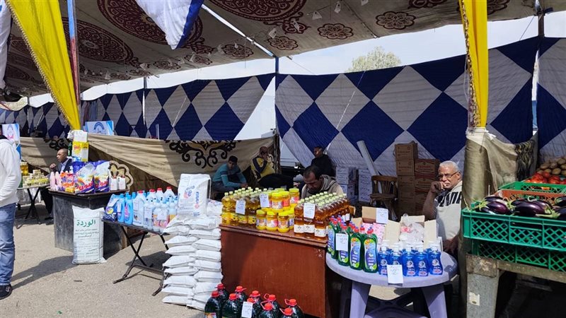 معرض النوبارية