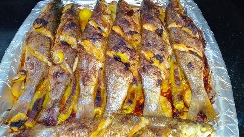 السمك البوري 