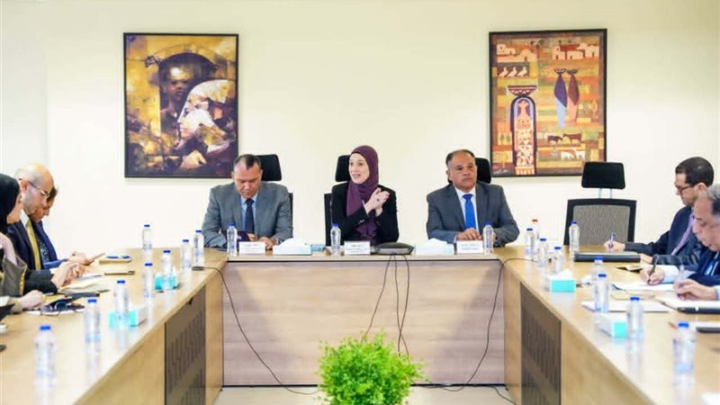 بدء إعداد تقرير مصر