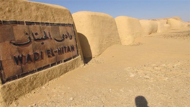 وادي الحيتان