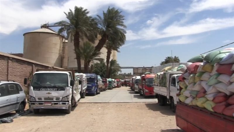جانب من عملية التوريد