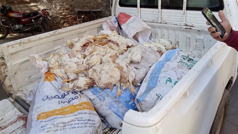 مضبوطات، فيتو
