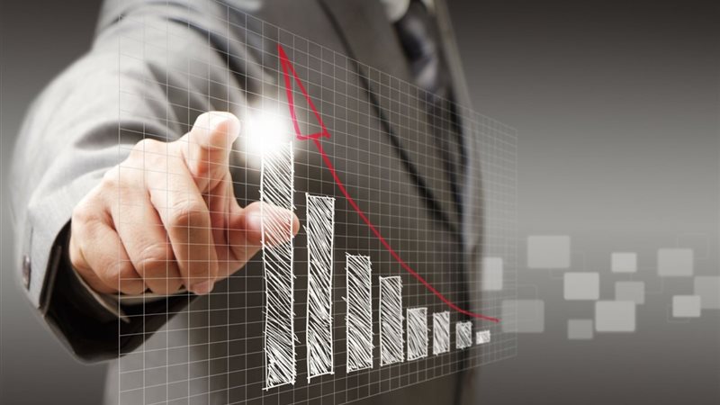 المشروعات الرائدة