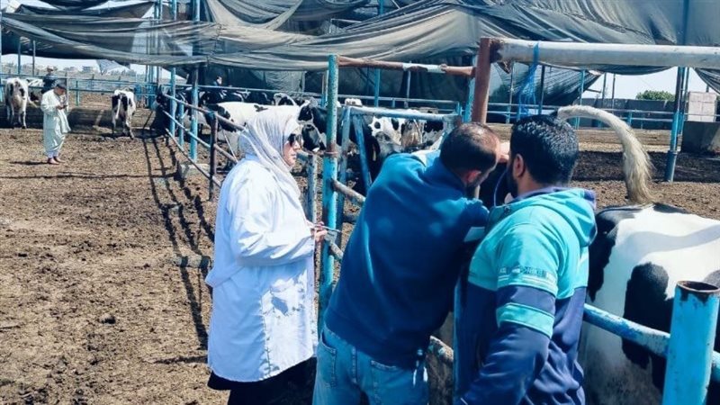 بيطري الشرقية فحص
