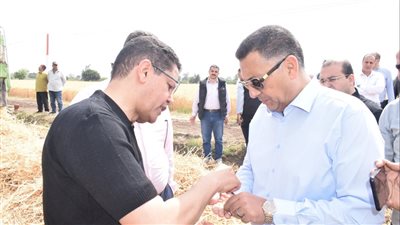 محافظ القليوبية ورئيس جامعة بنها يفتتحان موسم حصاد القمح بـ زراعة مشتهر (فيديو) 