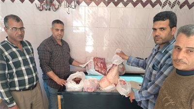 ذبح 7788 رأس ماشية بالمجازر الحكومية بالبحيرة 