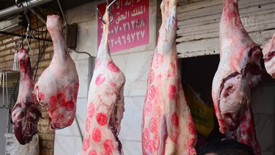 دليلك لشراء لحمة عيد الأضحى، الأسعار وأفضل وقت للشراء وأسرار اختيار القطعيات (صور وفيديو)