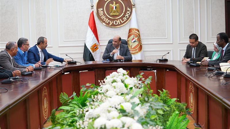 وزارة العمل 