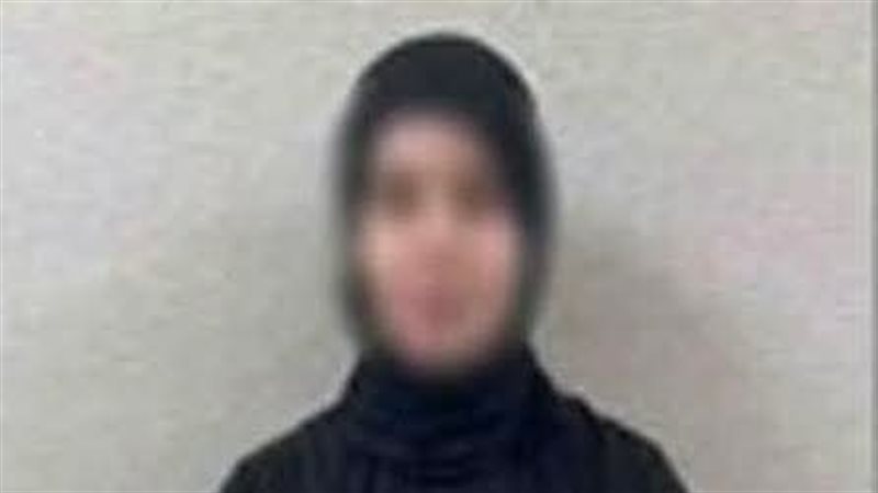 قضية البلوجر دينا