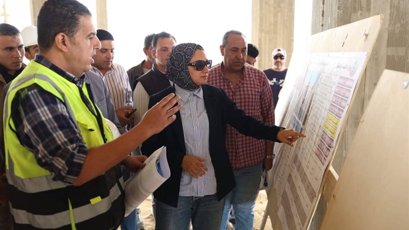 محافظ الوادي الجديد،