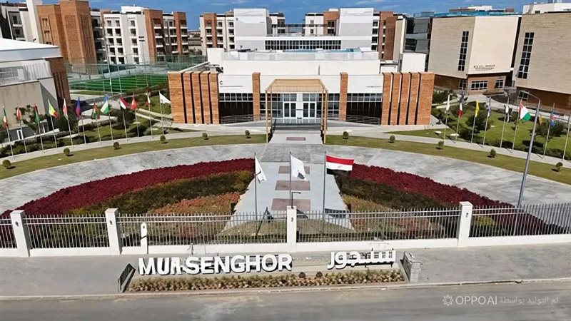 جامعة سنجور الجديدة،