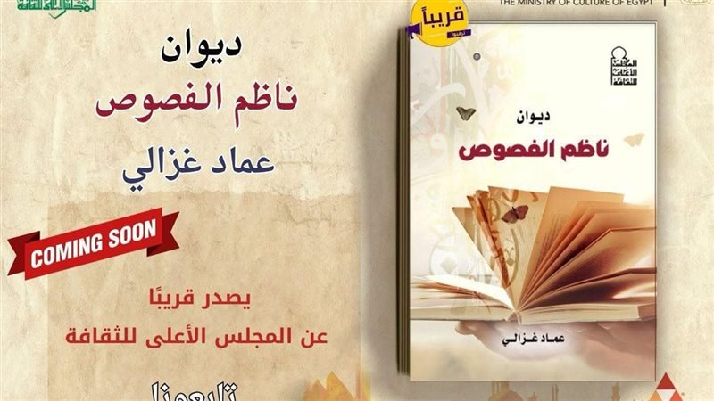 غلاف الكتاب، فيتو