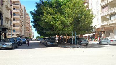 طقس مشمس وأجواء حارة في مطروح (صور)