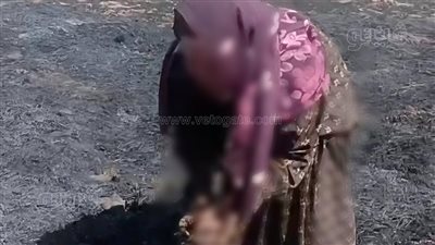 التفاصيل الكاملة لاحتراق القمح بقرية النعامنة، والأسرة تعيش أزمة قاسية والنيابة تكشف الملابسات