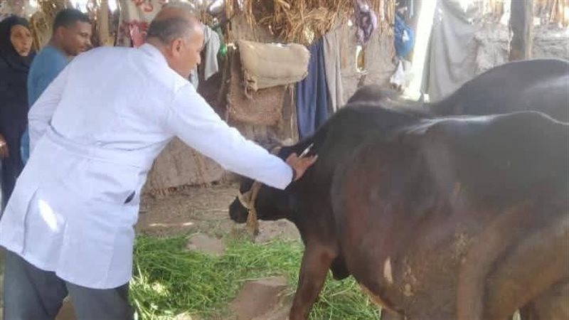 تحصين 37 ألف رأس