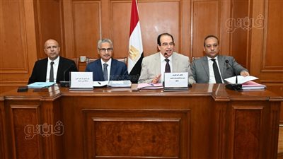 رئيس مجلس الشيوخ ومحافظ بني سويف يبحثان ضم محطات «MBR» لـ شركة المياه