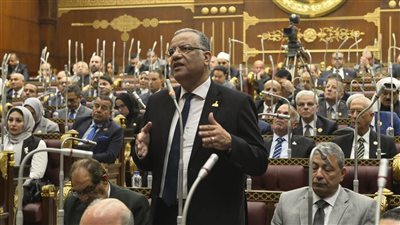 محمود مسلم أمام الجلسة العامة للشيوخ: الطيران معضلة حقيقية في مواجهة وعد الـ