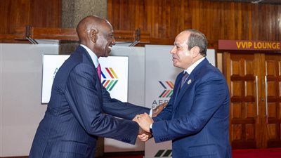 السيسي يشدد على ثوابت الموقف المصري الداعم لاستقرار وسيادة السودان ووحدة وسلامة أراضيه