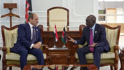 السيسي يدعو إلى توجيه موارد الدول للتنمية بدلا من استنزافها في النزاعات المسلحة
