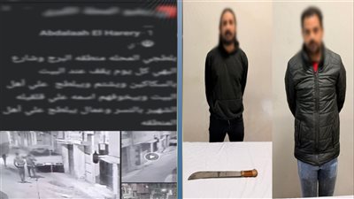 ضبط عامل هدد أسرة بسلاح أبيض في المحلة بسبب خلافات عائلية بالغربية