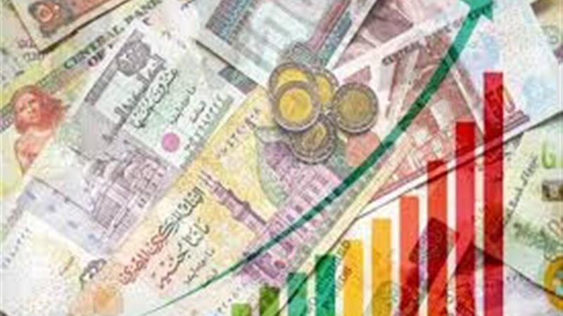 اقتصاد، فيتو 