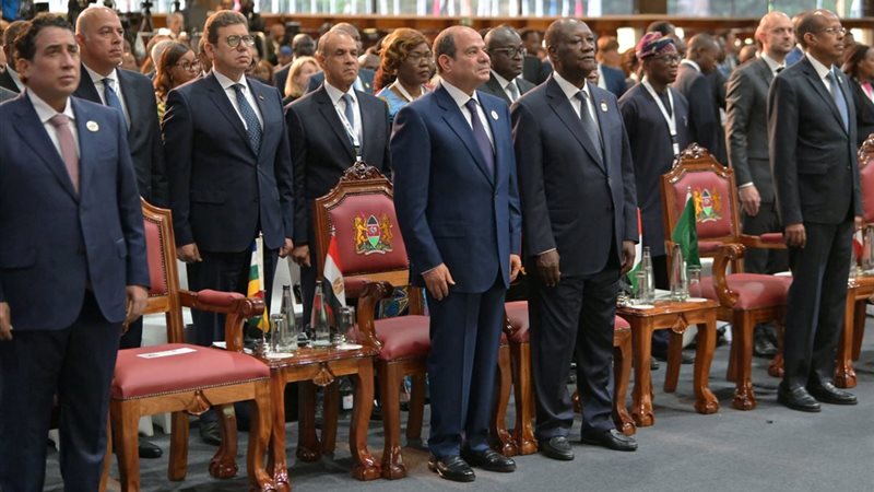 الرئيس السيسي، فيتو