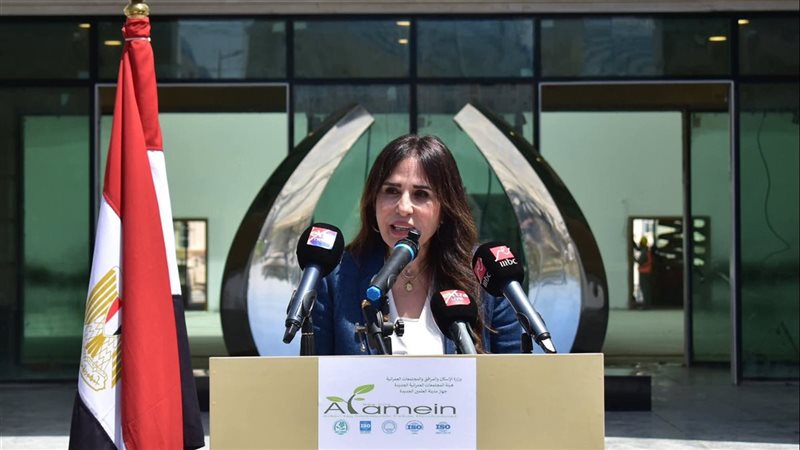 المهندسة راندة المنشاوي