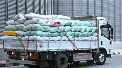 توريد 136 ألف طن قمح بسوهاج واستبعاد 2079 طنا لعدم مطابقتها للمواصفات