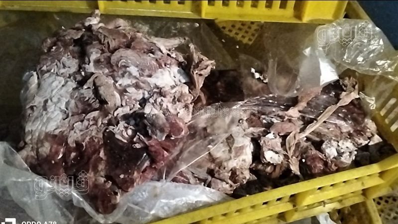 ضبط لحوم فاسدة ببورسعيد،