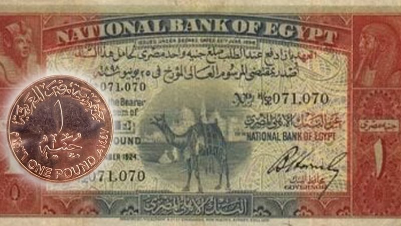 الجنيه المصري 