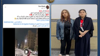 بسبب إطعام الكلاب، خلاف بين سيدتين ينتهي ببلاغ متبادل في أكتوبر