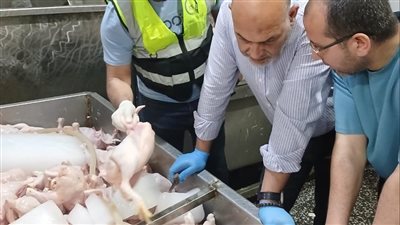 ضبط 3 أطنان دواجن غير صالحة للاستهلاك الآدمي في القليوبية