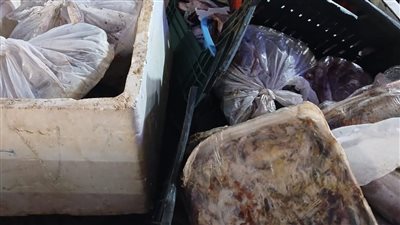 ضبط 2 طن لحوم ودواجن وأسماك غير صالحة للاستهلاك في المنوفية 