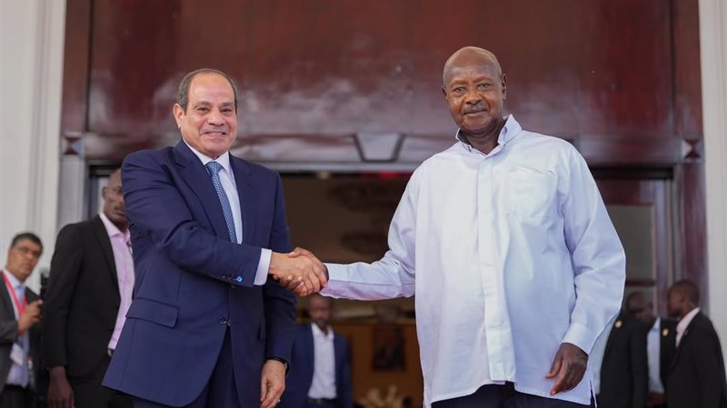 الرئيس السيسي، فيتو