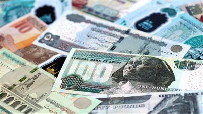 بعيدًا عن الذهب، 7 مجالات يطرحها خبير اقتصادي لربح مضمون بمبلغ 100 ألف جنيه