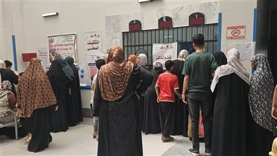 قافلة طبية تقدم الخدمة لـ 2116 مواطنا بقرية تفهنا العزب بالغربية
