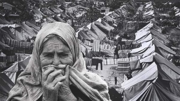 هزيمة 1948، كواليس ضياع 78% من أرض فلسطين وتشريد 750 ألف لاجئ