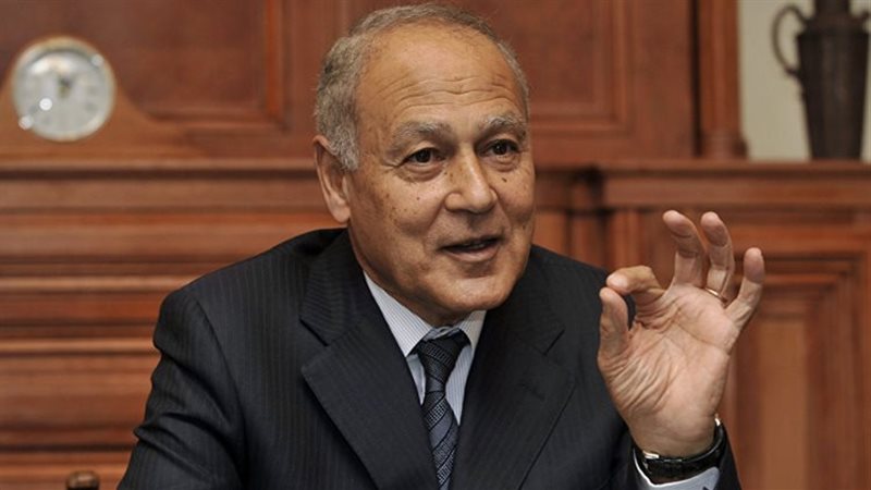 أحمد أبو الغيط، فيتو