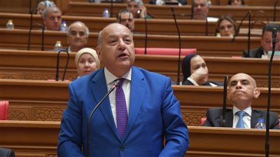 الوحش: الضامن الحقيقي لاستقرار ليبيا يتمثل في خروج كافة القوات الأجنبية من أراضيها