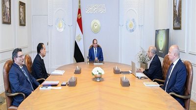  تفاصيل اجتماع السيسي مع مدبولي ووزير الكهرباء ومستشار الرئيس للشئون المالية