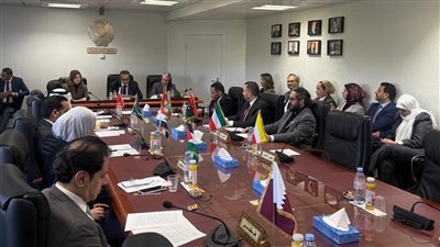 وزير الصحة: القضية الفلسطينية تتصدر أولويات العمل العربي المشترك
