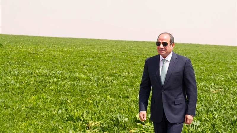 الرئيس السيسي